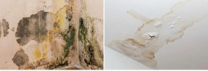 Damp proofing